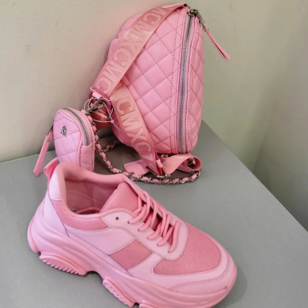 Bag with shoe